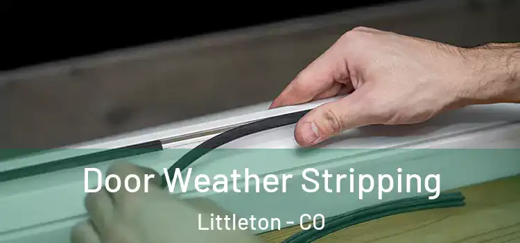Door Weather Stripping Littleton - CO