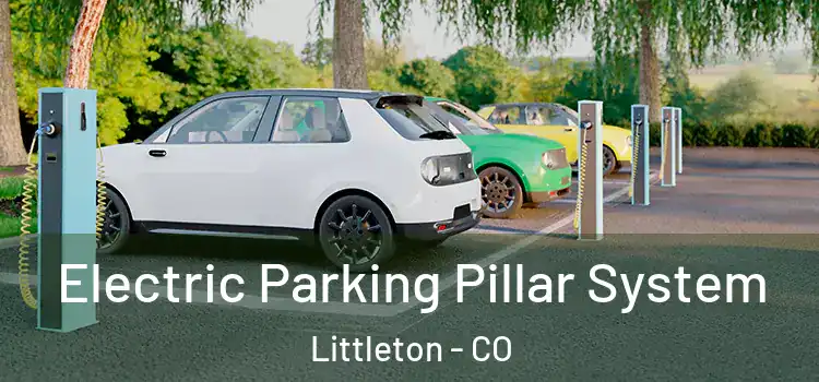 Electric Parking Pillar System Littleton - CO