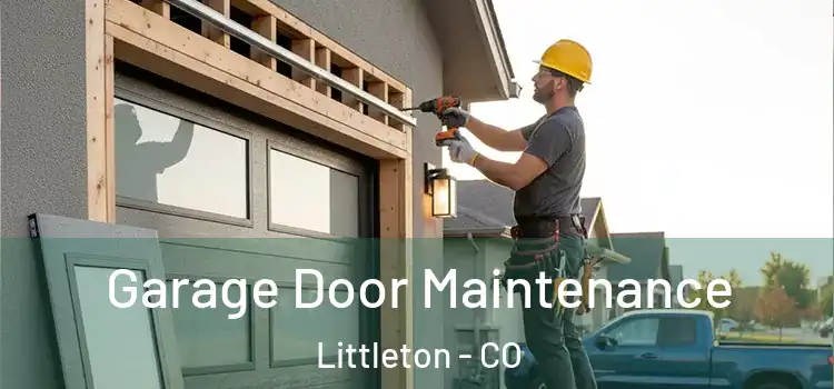 Garage Door Maintenance Littleton - CO
