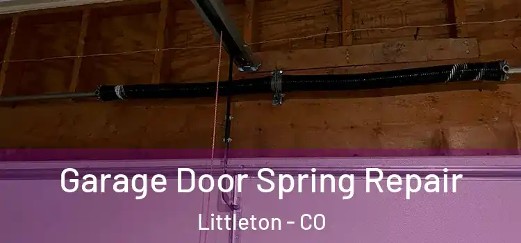  Garage Door Spring Repair Littleton - CO