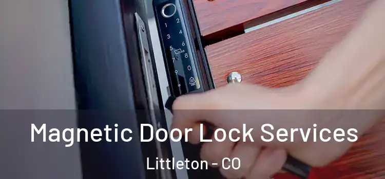 Magnetic Door Lock Services Littleton - CO